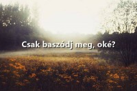 /album/szeretlek-/hahaa-jpg/