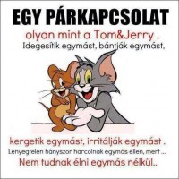 /album/szeretlek-/tom-jpg/