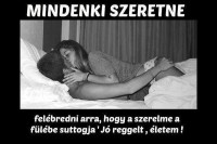 /album/fenykepgaleria/hm1-jpg1/